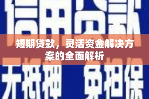 新建短期贷款，灵活资金解决方案的全面解析