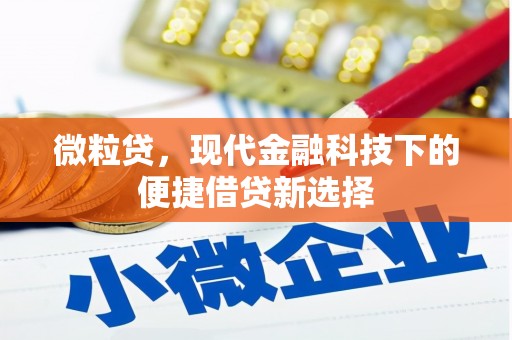 新建微粒贷，现代金融科技下的便捷借贷新选择
