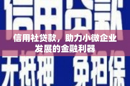 新建信用社贷款，助力小微企业发展的金融利器
