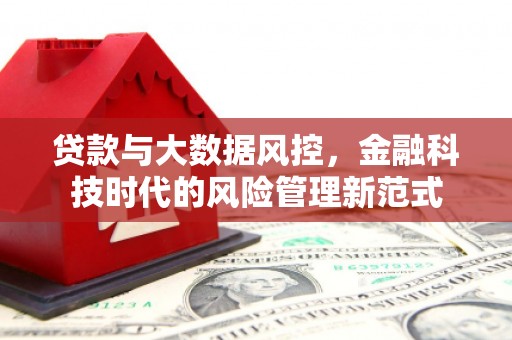 新建贷款与大数据风控，金融科技时代的风险管理新范式