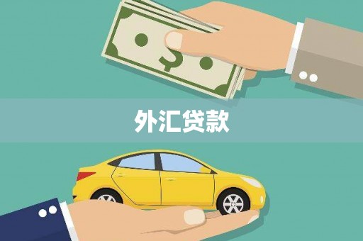 新建外汇贷款