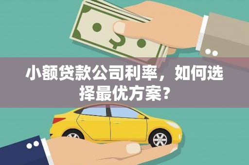 新建小额贷款公司利率，如何选择最优方案？