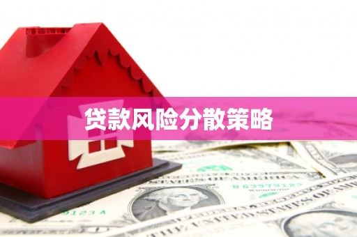 新建贷款风险分散策略