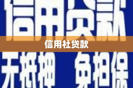 新建信用社贷款