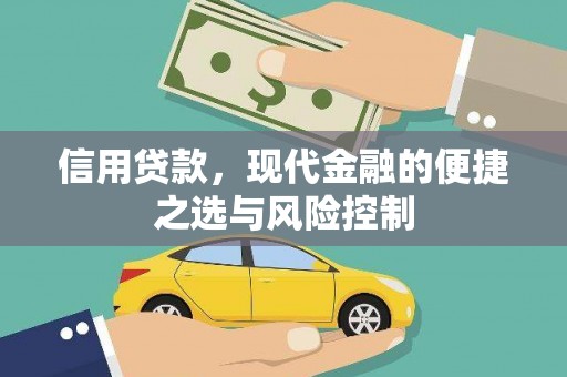 新建信用贷款，现代金融的便捷之选与风险控制