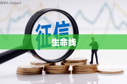 新建生命线