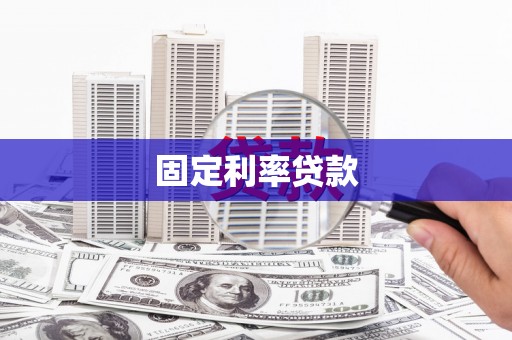 新建固定利率贷款