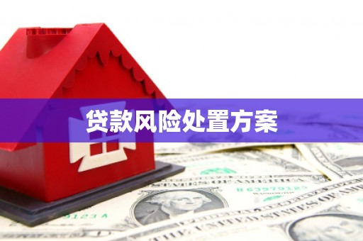 新建贷款风险处置方案