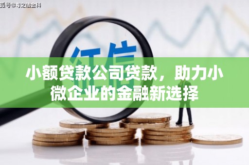 新建小额贷款公司贷款，助力小微企业的金融新选择