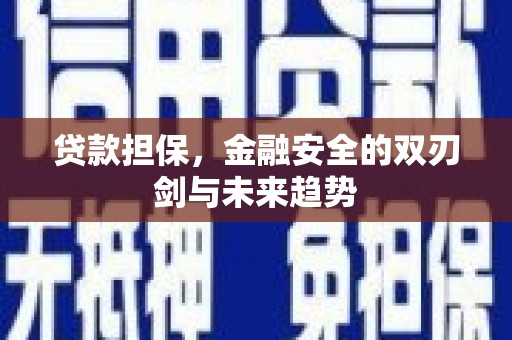 新建贷款担保，金融安全的双刃剑与未来趋势