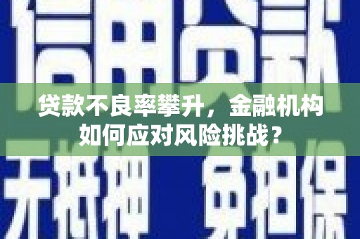 新建贷款不良率攀升，金融机构如何应对风险挑战？