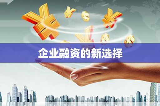 新建企业融资的新选择