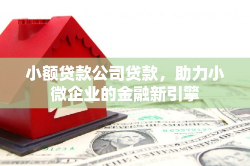 新建小额贷款公司贷款，助力小微企业的金融新引擎