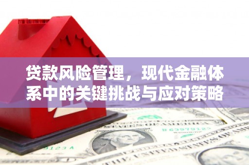 新建贷款风险管理，现代金融体系中的关键挑战与应对策略