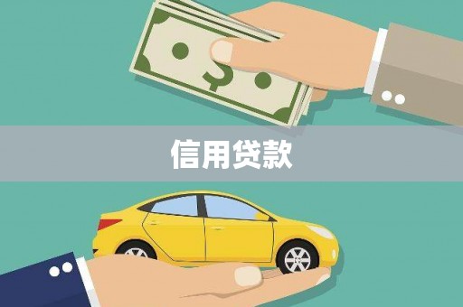 新建信用贷款