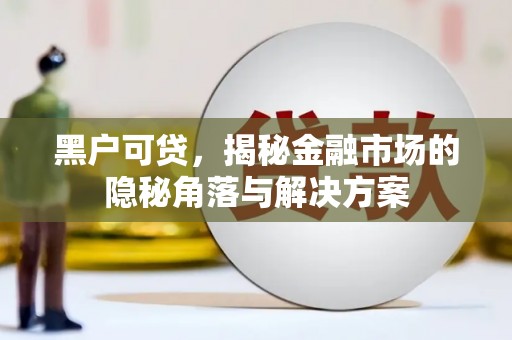 新建黑户可贷，揭秘金融市场的隐秘角落与解决方案