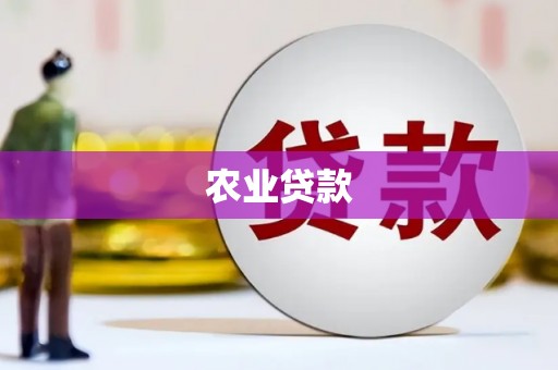 新建农业贷款