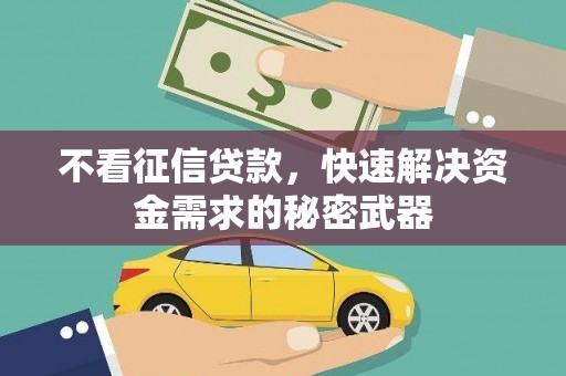 新建不看征信贷款，快速解决资金需求的秘密武器