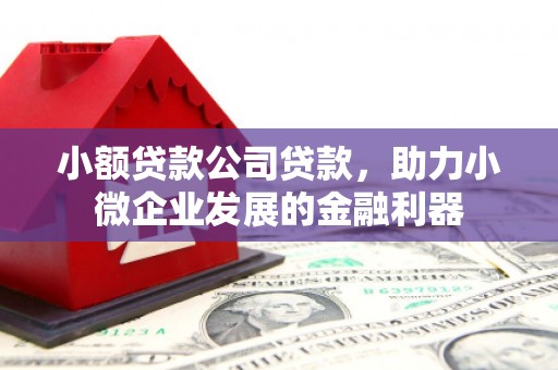 新建小额贷款公司贷款，助力小微企业发展的金融利器