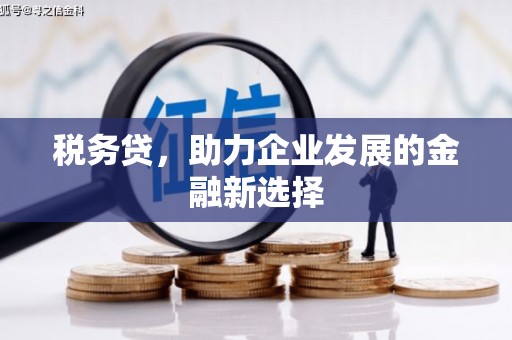 新建税务贷，助力企业发展的金融新选择