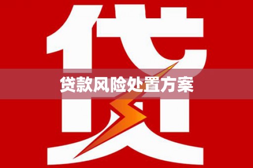 新建贷款风险处置方案