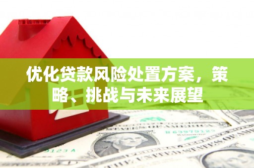 新建优化贷款风险处置方案，策略、挑战与未来展望