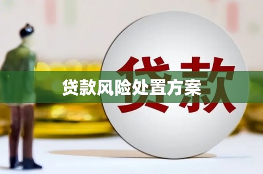 新建贷款风险处置方案
