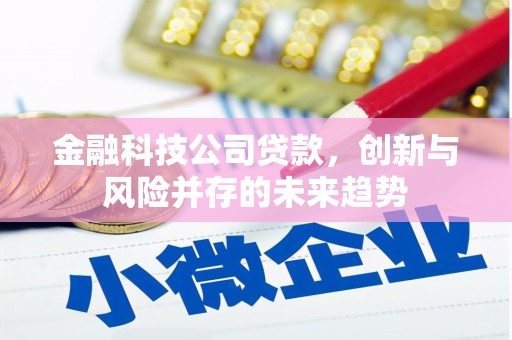 新建金融科技公司贷款，创新与风险并存的未来趋势