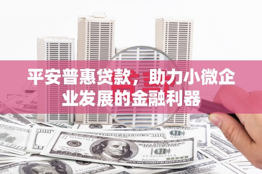 新建平安普惠贷款，助力小微企业发展的金融利器