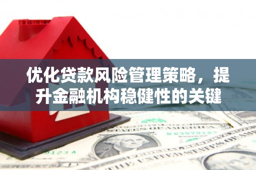 新建优化贷款风险管理策略，提升金融机构稳健性的关键