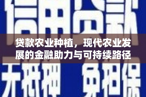 新建贷款农业种植，现代农业发展的金融助力与可持续路径
