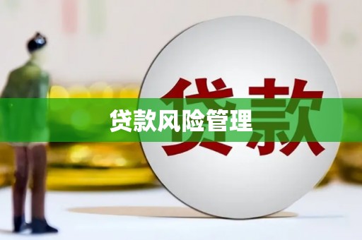 新建贷款风险管理