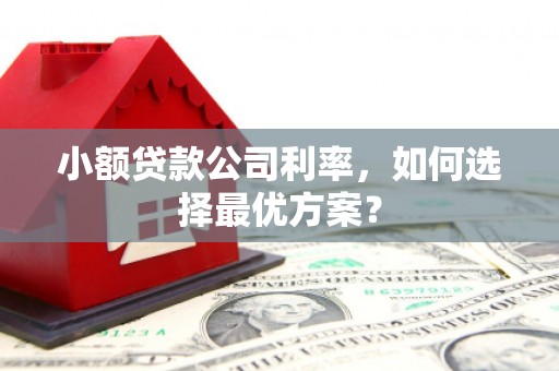 新建小额贷款公司利率，如何选择最优方案？