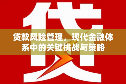 新建贷款风险管理，现代金融体系中的关键挑战与策略