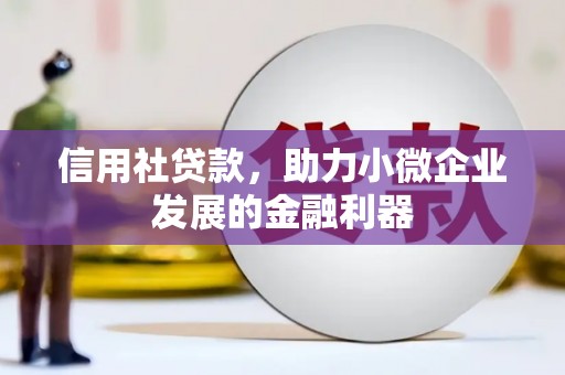 新建信用社贷款，助力小微企业发展的金融利器