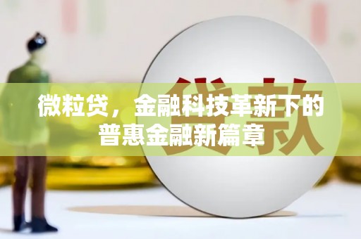 新建微粒贷，金融科技革新下的普惠金融新篇章