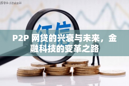 新建P2P 网贷的兴衰与未来，金融科技的变革之路