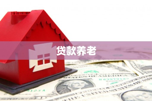 新建贷款养老