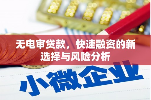 新建无电审贷款，快速融资的新选择与风险分析