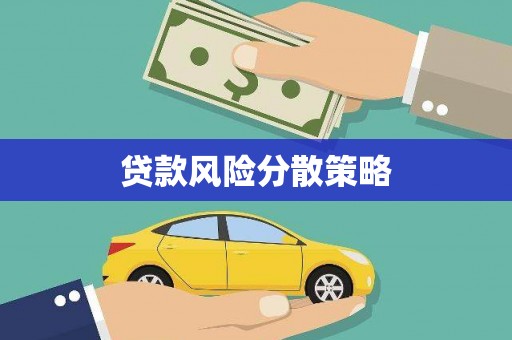 新建贷款风险分散策略