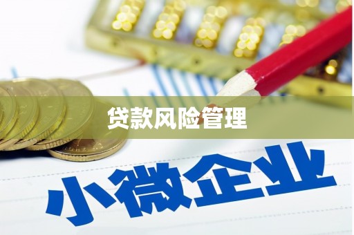 新建贷款风险管理