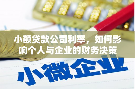 新建小额贷款公司利率，如何影响个人与企业的财务决策