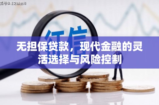 新建无担保贷款，现代金融的灵活选择与风险控制