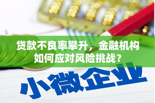新建贷款不良率攀升，金融机构如何应对风险挑战？