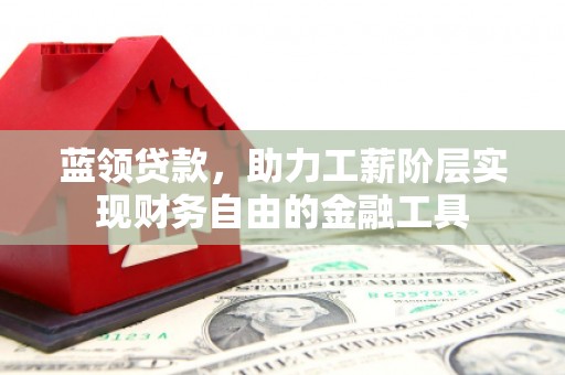 新建蓝领贷款，助力工薪阶层实现财务自由的金融工具