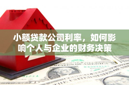 新建小额贷款公司利率，如何影响个人与企业的财务决策