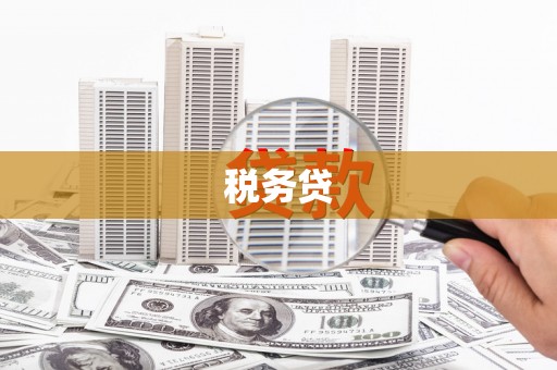 新建税务贷