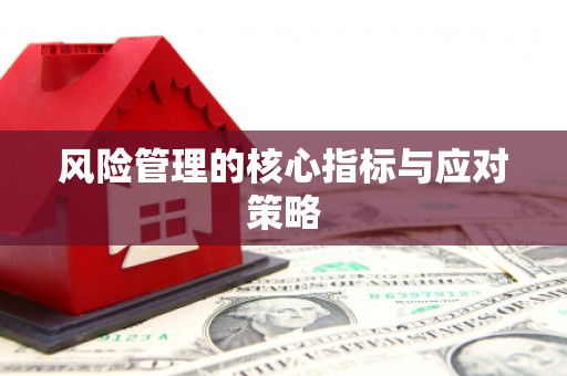 新建风险管理的核心指标与应对策略