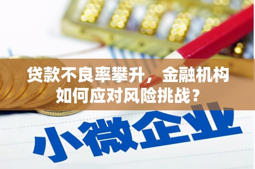 新建贷款不良率攀升，金融机构如何应对风险挑战？