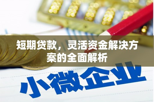 新建短期贷款，灵活资金解决方案的全面解析